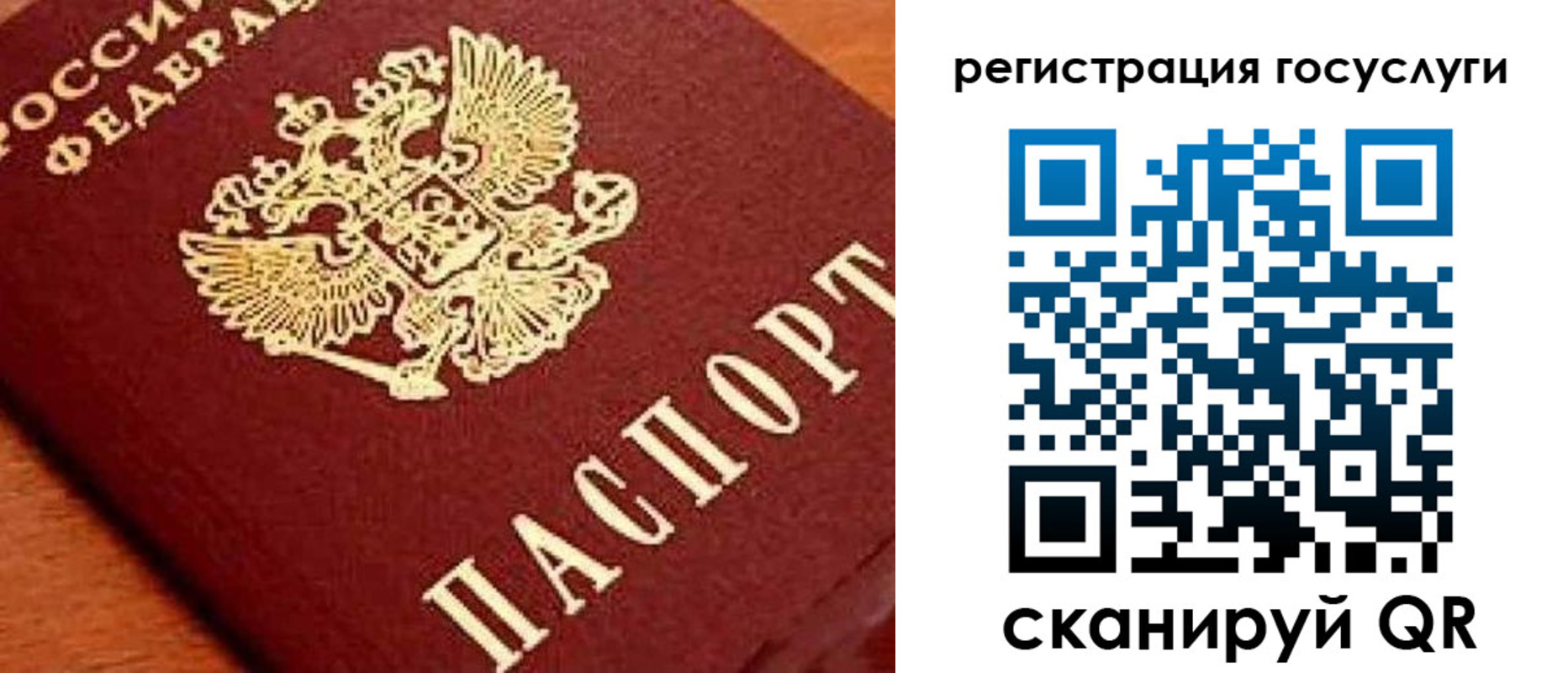 временная регистрация недорого в Чкаловске